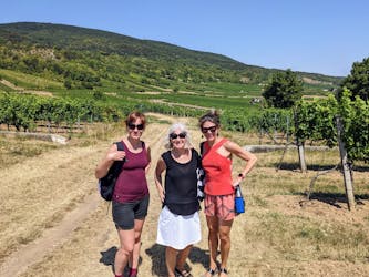 Tour privato del vino nei boschi di Vienna